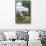 Pennsylvania - Amish Farm Scene-Lantern Press-Stretched Canvas displayed on a wall