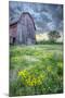 Pennsylvania Barn-5fishcreative-Mounted Giclee Print