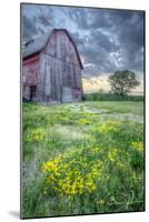 Pennsylvania Barn-5fishcreative-Mounted Giclee Print