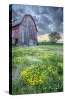 Pennsylvania Barn-5fishcreative-Stretched Canvas