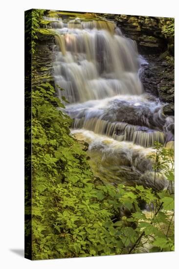 Pennsylvania, Benton, Ricketts Glen SP. Delaware Falls Cascade-Jay O'brien-Stretched Canvas