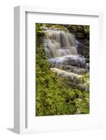 Pennsylvania, Benton, Ricketts Glen SP. Delaware Falls Cascade-Jay O'brien-Framed Photographic Print