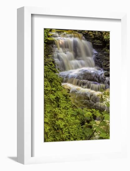 Pennsylvania, Benton, Ricketts Glen SP. Delaware Falls Cascade-Jay O'brien-Framed Photographic Print