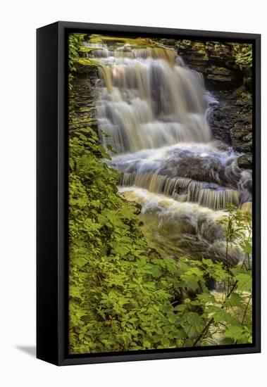 Pennsylvania, Benton, Ricketts Glen SP. Delaware Falls Cascade-Jay O'brien-Framed Stretched Canvas