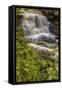 Pennsylvania, Benton, Ricketts Glen SP. Delaware Falls Cascade-Jay O'brien-Framed Stretched Canvas