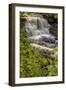 Pennsylvania, Benton, Ricketts Glen SP. Delaware Falls Cascade-Jay O'brien-Framed Photographic Print