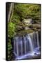 Pennsylvania, Benton, Ricketts Glen SP. Delaware Falls Cascade-Jay O'brien-Framed Stretched Canvas