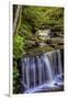 Pennsylvania, Benton, Ricketts Glen SP. Delaware Falls Cascade-Jay O'brien-Framed Photographic Print