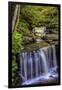 Pennsylvania, Benton, Ricketts Glen SP. Delaware Falls Cascade-Jay O'brien-Framed Photographic Print