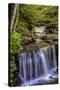 Pennsylvania, Benton, Ricketts Glen SP. Delaware Falls Cascade-Jay O'brien-Stretched Canvas