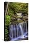 Pennsylvania, Benton, Ricketts Glen SP. Delaware Falls Cascade-Jay O'brien-Stretched Canvas