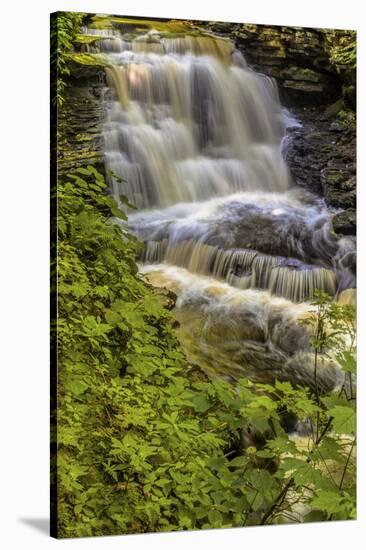 Pennsylvania, Benton, Ricketts Glen SP. Delaware Falls Cascade-Jay O'brien-Stretched Canvas