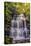 Pennsylvania, Benton, Ricketts Glen State Park. Ganoga Falls Cascade-Jay O'brien-Stretched Canvas