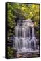 Pennsylvania, Benton, Ricketts Glen State Park. Ganoga Falls Cascade-Jay O'brien-Framed Stretched Canvas