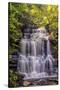 Pennsylvania, Benton, Ricketts Glen State Park. Ganoga Falls Cascade-Jay O'brien-Stretched Canvas