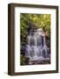 Pennsylvania, Benton, Ricketts Glen State Park. Ganoga Falls Cascade-Jay O'brien-Framed Photographic Print