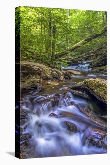 Pennsylvania, Benton, Ricketts Glen State Park. Kitchen Creek Cascade-Jay O'brien-Stretched Canvas