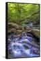 Pennsylvania, Benton, Ricketts Glen State Park. Kitchen Creek Cascade-Jay O'brien-Framed Stretched Canvas