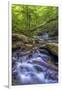 Pennsylvania, Benton, Ricketts Glen State Park. Kitchen Creek Cascade-Jay O'brien-Framed Photographic Print