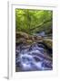 Pennsylvania, Benton, Ricketts Glen State Park. Kitchen Creek Cascade-Jay O'brien-Framed Photographic Print