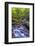 Pennsylvania, Benton, Ricketts Glen State Park. Kitchen Creek Cascade-Jay O'brien-Framed Photographic Print