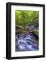 Pennsylvania, Benton, Ricketts Glen State Park. Kitchen Creek Cascade-Jay O'brien-Framed Photographic Print