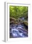 Pennsylvania, Benton, Ricketts Glen State Park. Kitchen Creek Cascade-Jay O'brien-Framed Photographic Print