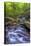 Pennsylvania, Benton, Ricketts Glen State Park. Kitchen Creek Cascade-Jay O'brien-Stretched Canvas
