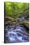 Pennsylvania, Benton, Ricketts Glen State Park. Kitchen Creek Cascade-Jay O'brien-Stretched Canvas