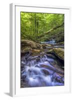 Pennsylvania, Benton, Ricketts Glen State Park. Kitchen Creek Cascade-Jay O'brien-Framed Photographic Print