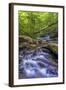 Pennsylvania, Benton, Ricketts Glen State Park. Kitchen Creek Cascade-Jay O'brien-Framed Photographic Print