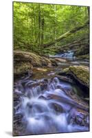 Pennsylvania, Benton, Ricketts Glen State Park. Kitchen Creek Cascade-Jay O'brien-Mounted Photographic Print