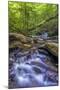 Pennsylvania, Benton, Ricketts Glen State Park. Kitchen Creek Cascade-Jay O'brien-Mounted Photographic Print