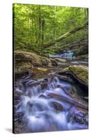 Pennsylvania, Benton, Ricketts Glen State Park. Kitchen Creek Cascade-Jay O'brien-Stretched Canvas