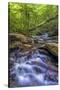 Pennsylvania, Benton, Ricketts Glen State Park. Kitchen Creek Cascade-Jay O'brien-Stretched Canvas