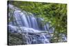 Pennsylvania, Benton, Ricketts Glen State Park. Mohawk Falls Cascade-Jay O'brien-Stretched Canvas