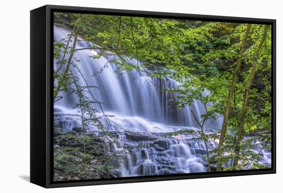 Pennsylvania, Benton, Ricketts Glen State Park. Mohawk Falls Cascade-Jay O'brien-Framed Stretched Canvas