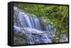 Pennsylvania, Benton, Ricketts Glen State Park. Mohawk Falls Cascade-Jay O'brien-Framed Stretched Canvas