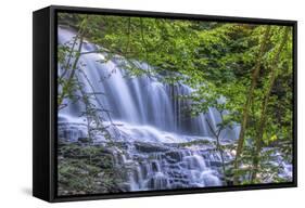 Pennsylvania, Benton, Ricketts Glen State Park. Mohawk Falls Cascade-Jay O'brien-Framed Stretched Canvas