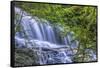 Pennsylvania, Benton, Ricketts Glen State Park. Mohawk Falls Cascade-Jay O'brien-Framed Stretched Canvas