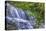 Pennsylvania, Benton, Ricketts Glen State Park. Mohawk Falls Cascade-Jay O'brien-Stretched Canvas