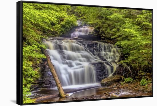 Pennsylvania, Benton, Ricketts Glen State Park. Mohican Falls Cascade-Jay O'brien-Framed Stretched Canvas