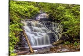 Pennsylvania, Benton, Ricketts Glen State Park. Mohican Falls Cascade-Jay O'brien-Stretched Canvas