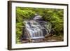 Pennsylvania, Benton, Ricketts Glen State Park. Mohican Falls Cascade-Jay O'brien-Framed Photographic Print