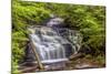 Pennsylvania, Benton, Ricketts Glen State Park. Mohican Falls Cascade-Jay O'brien-Mounted Photographic Print
