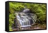 Pennsylvania, Benton, Ricketts Glen State Park. Mohican Falls Cascade-Jay O'brien-Framed Stretched Canvas