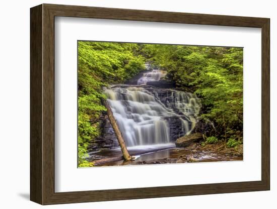 Pennsylvania, Benton, Ricketts Glen State Park. Mohican Falls Cascade-Jay O'brien-Framed Photographic Print