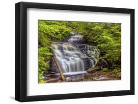 Pennsylvania, Benton, Ricketts Glen State Park. Mohican Falls Cascade-Jay O'brien-Framed Photographic Print