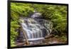 Pennsylvania, Benton, Ricketts Glen State Park. Mohican Falls Cascade-Jay O'brien-Framed Photographic Print