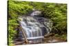 Pennsylvania, Benton, Ricketts Glen State Park. Mohican Falls Cascade-Jay O'brien-Stretched Canvas